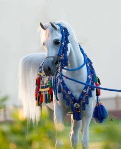 خلفيات صور خيول عربية أصيلة 