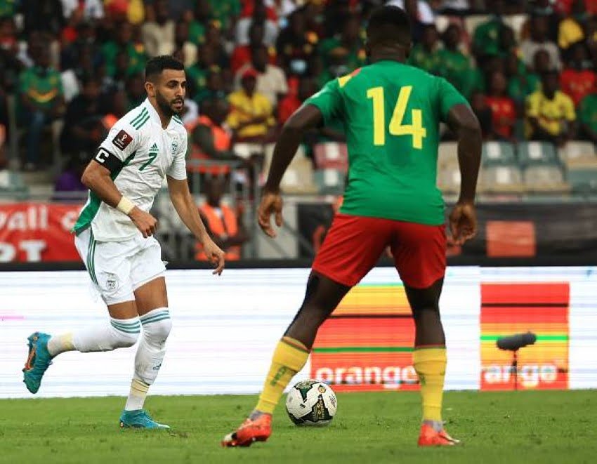 هل تعاد مباراة الجزائر والكاميرون