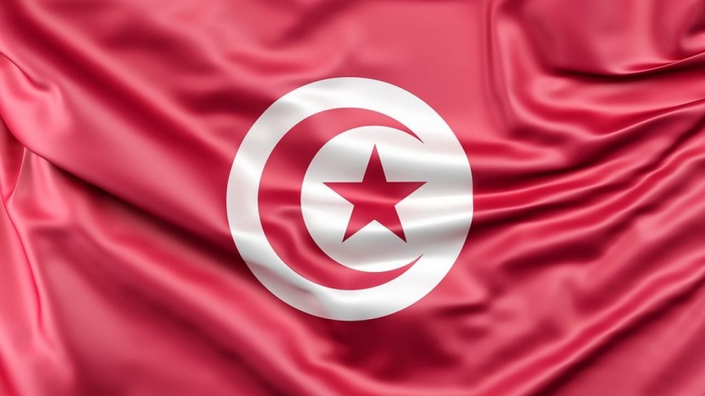 كيفية التسجيل في الاستفتاء على الدستور التونسي