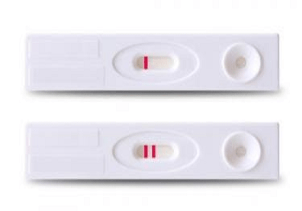 كيفية استخدام اختبار الحمل